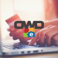 OCALA WEBSITE DESIGNS LOGO WITH PERSON ON LAPTOP