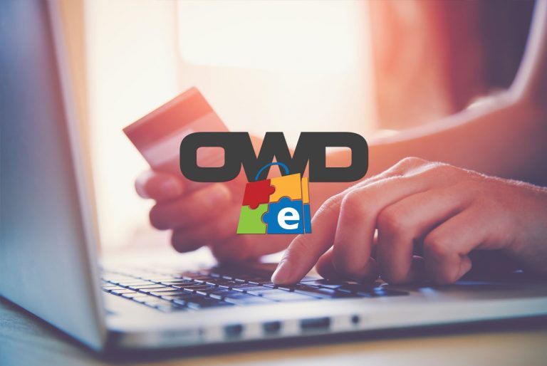 OCALA WEBSITE DESIGNS LOGO WITH LAPTOP PICTURED OCALA WEBSITE DESIGNS LOGO WITH PERSON ON LAPTOP