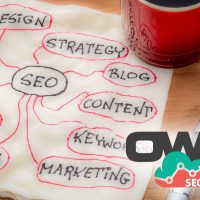 OCALA WEBSITE DESIGNS LOGO WITH SEO INFO